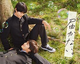 商洛企业网站优化哪家好